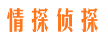 扎囊外遇调查取证